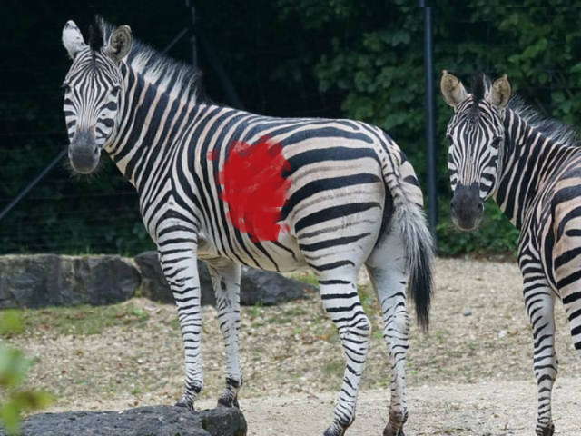 The best business advice we ever got!